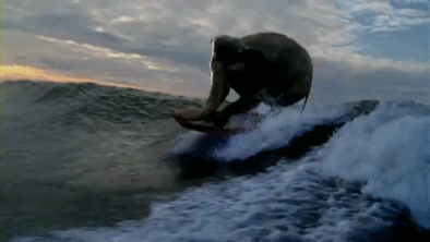 elephantsurf